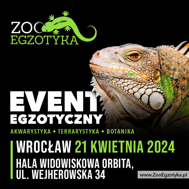 ZooEgzotyka - EVENT EGZOTYCZNY